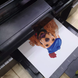 Papier termotransferowy do druku atramentami pigmentowymi A4