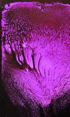 Alcohol ink "SPLASH" Purple by TM "ScrapEgo" (fluorescent, 2 in 1) 30ml