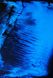 Alkoholowy tusz "SPLASH" Blue od TM "ScrapEgo" (fluorescencyjne, 2 w 1) 30ml