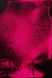 Алкогольні чорнилa "SPLASH" Pink від ТМ "ScrapEgo" (флуоресцентні, 2 в 1) 30ml